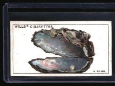 1922 Wills's Do You Know A pearl #33 picture