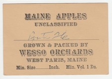 Vintage Maine apples tag, Wesso Orchards, West Paris picture