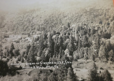 Antique 1913 RPPC Photo Postcard of Birds View Guerneville CA. by Belden & UPP picture
