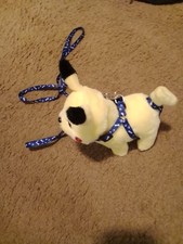 Pokemon Pikachu Toy walking the dog marks and walks picture