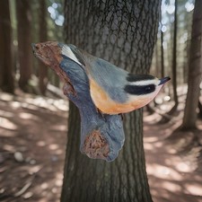 Wild Backyard Birds Hand Carved Resin? Collection Red Breasted Nuthatch Signed  picture
