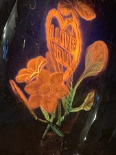 Duro-lite Aerolux Style I Love You, Heart & Flowers Neon Light Bulb WORKS picture