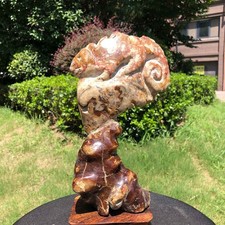 3.98LB TOP Natural Beautiful ammonite fossil conch Crystal specimen heals 1413 picture
