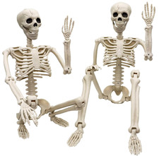 2 Esqueletos Halloween 36