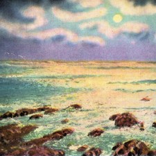 Vintage 1920s Moonlight Cape Shore Elizabeth Postcard Maine picture