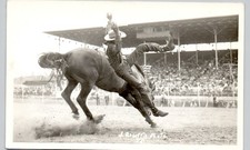 COWBOY THROWN OFF BRONCO c1950 postcard real photo rppc rodeo roundup rosettis picture