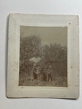 Antique 1898 Cabinet Card Photo of A Lady and 2 Little Boys (Poka-Dot Shirts) picture