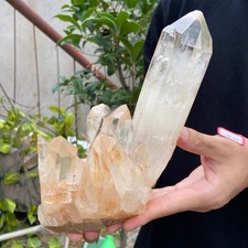 2.7LB A++Large Natural clear white Crystal Himalayan quartz cluster /mineralsls picture
