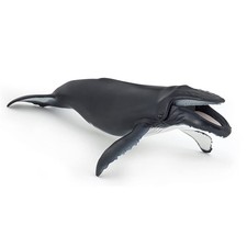 Papo - Hand-Painted - Figurine - Marine Life - Humpback Whale Figure-56001 - ... picture