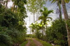 Digital Image Picture Photo Wallpaper Background Nature Landscape Desktop Art picture