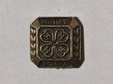 Vintage 4H First Year State Of Indiana Lapel Pin picture