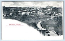 Asciano Siena Dal Poggio del Giardino ITALY UDB Postcard picture