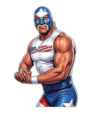 WWE Mr America Maybe Hulk Hogan Wrestling Water Resistant Sticker WWF AEW NXT picture