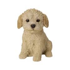 H13344 [Sitting toy poodle (large)] picture