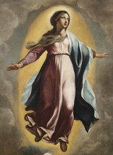 Free shipping Oil painting female portrait Assumption of the Virgin Hand painted picture