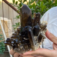 800G Natural Smoky Black Quartz Cluster Crystal raw Specimen Healing picture