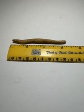 Rare Erie Co. Ohio Petrified Shell Fishing Hook Gorge Fine Artifact picture