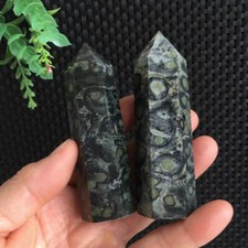 194g 2pcs Kambaba Jasper Tower Point Stone Quartz Crystal Specimen Healing picture