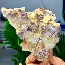 1.21LB Natural purple green cubic fluorite mineral crystal sample/China picture