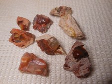207ct Mexican Fire Opal Lot 8pcs Raw Earth-Mined Lapidary Gems Polishing Bonanza picture