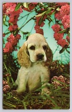 Postcard Cute Puppy Under Flowers c1964 picture