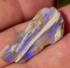 Opal Wood Fossil Speciman 20ct. picture