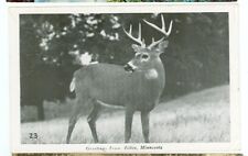 AITKIN, MINNESOTA-GREETINGS-BUCK-#23-B/W-PM1950-(MN-AMISC) picture