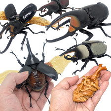 Bandai Gashapon Rhinoceros Beetle Big Realistic Insect Figure from JP Seller picture