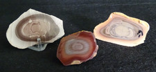 Lot of 3 Royal Imperial Jasper Specimens Collector Lapidary Mexico picture
