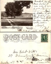 Mankato MN Sibley Park, Black & White Tree Postcard 72059 picture