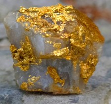 Gold Ore Specimen 20.56g Rich Gold Tellurides ☆Tariff Paid Shipping☆ picture