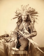 Oglala Sioux Little Wearing a Headdress 8x10 Glossy Photo Print HT943593 picture