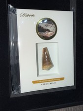 2023 Super Break Keepsake Edition Tyrannosaurus Rex Tooth T-Rex #08/50 picture
