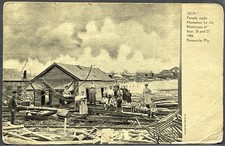 Pensacola FL 1906 Hurricane Disaster Homeless Undivided Back Postcard picture