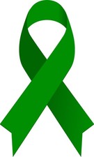 StickerTalk Green Awareness Ribbon Vinyl Sticker, 3inch by 5 inch picture