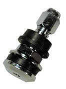 Chrome Valve Stem picture