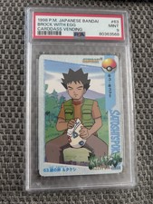 P.m Japanese Bandai Brock With Egg picture