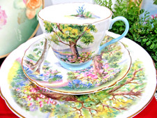 Shelley tea cup and saucer   Woodland floral pattern teacup flowered 1940s trio picture