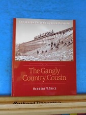 Gangly Country Cousin, The Lehigh Valley's Auburn Division by Herbert Trice SC picture