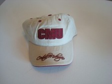 CENTRAL MICHIGAN CMU   BEACH GOLF STRAPBACK DEADSTOCK HAT CAP VINTAGE P1 picture