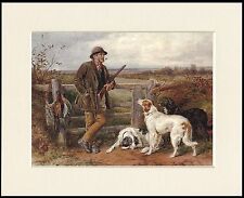 ENGLISH SETTER IRISH RED AND WHITE MAN AND DOG PRINT MOUNTED READY TO FRAME picture