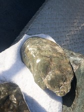 Big Sur Boytryoidal NEPHRITE Light Green picture