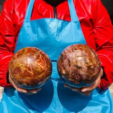 6.82LB 2pcs Natural petrified wood crystal fossil ball shaped mineral specimen picture