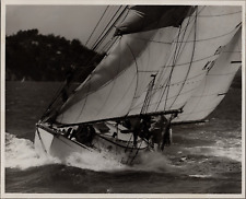 Original Diane Beeston Sailing Photo San Francisco Bay 1980 picture