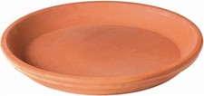 Terra Cotta 3