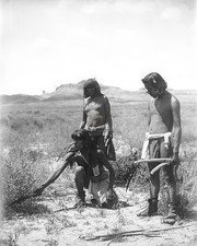Edward S Curtis Hopi Indian Catching a Snake 8x10 Glossy Photo Print HT943544 picture
