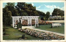 Davenport Florida FL Holly Hill Inn Hotel c1900s-20s Postcard picture