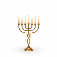 Jerusalem Menorah With Star of David - Messianic Menora Israel - made of brass picture