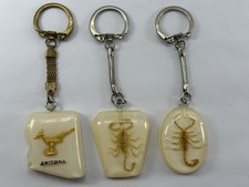 Vintage Arizona Desert Roadrunner & Scorpions Encased in Resin Keychain Lot of 3 picture