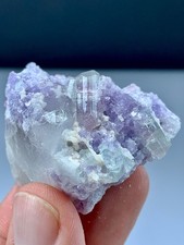 60 GM Terminated Bi Colour Tourmaline Crystal Combine With Lepidolite On Quartz picture